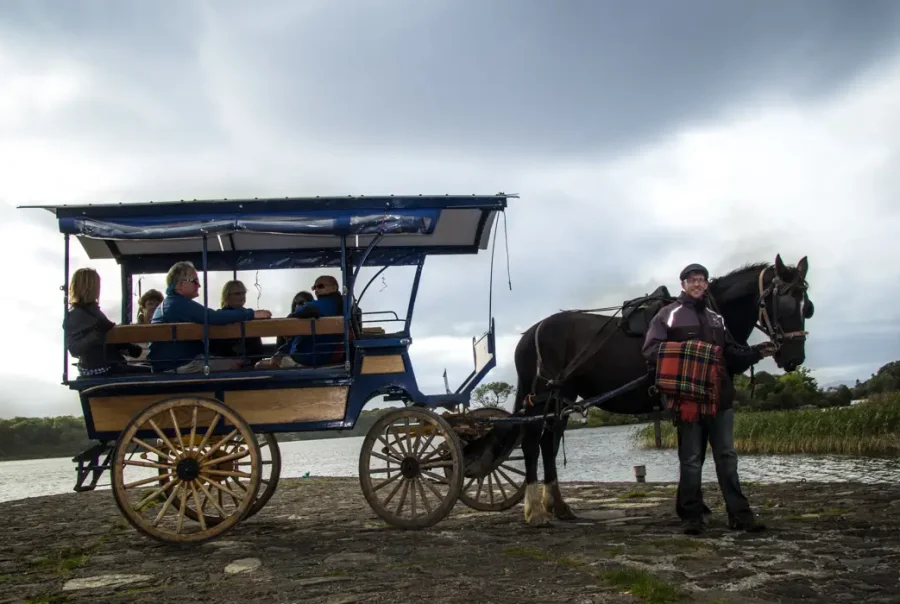 man walking horse with carriage of people attached at Killarney Jaunting Cars