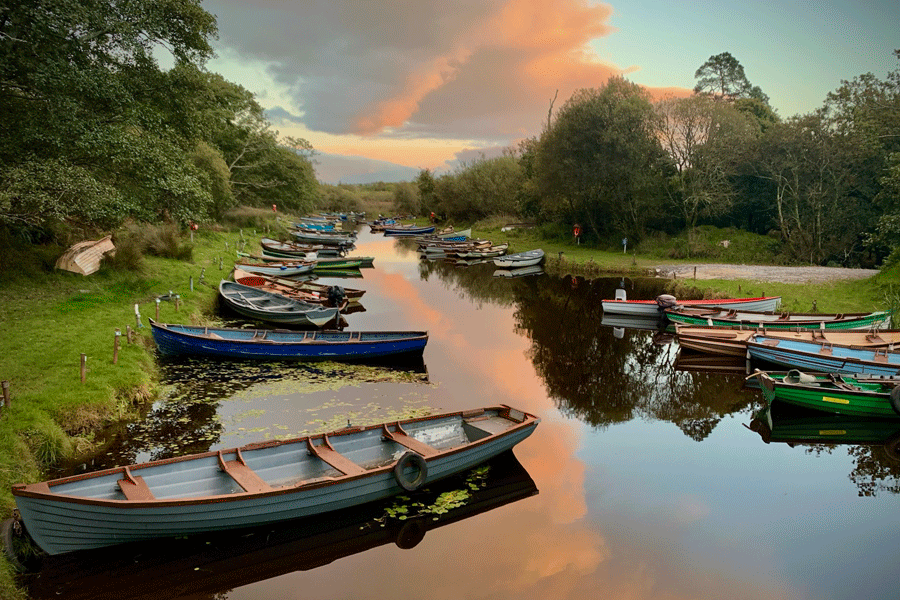 boats lined up in water at Killarney Guided Tours