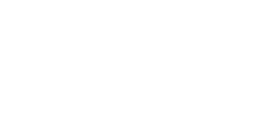 Bricin logo