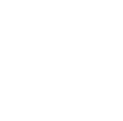 REA Coyne & Culloty logo